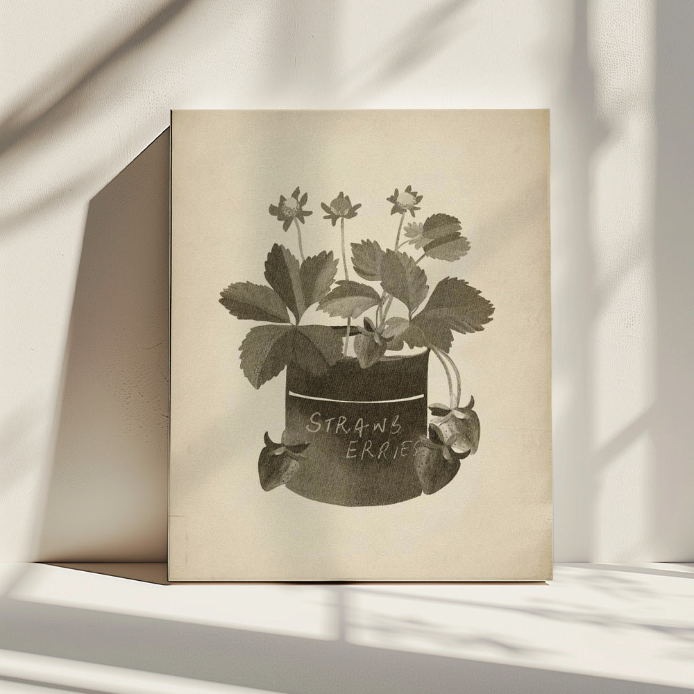 Vintage aardbeienplant | Canvas