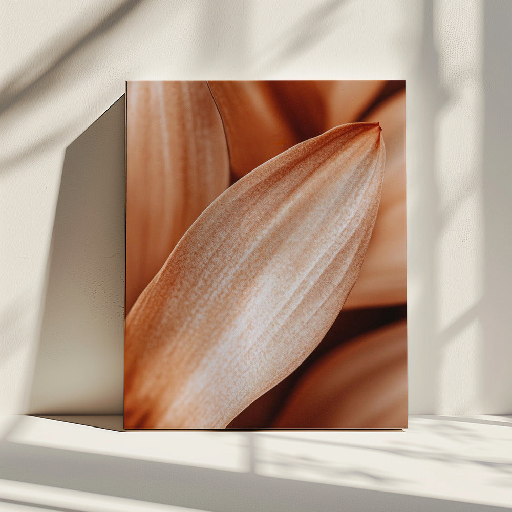 Amber Petal Elegantie | Canvas
