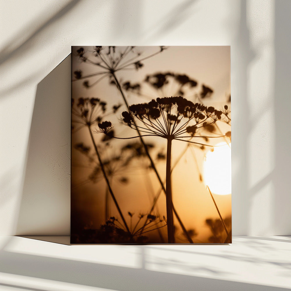 Gouden Uur 1 | Canvas