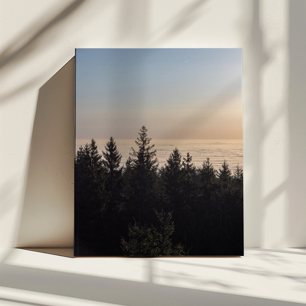 Gouden Uur 4 | Canvas