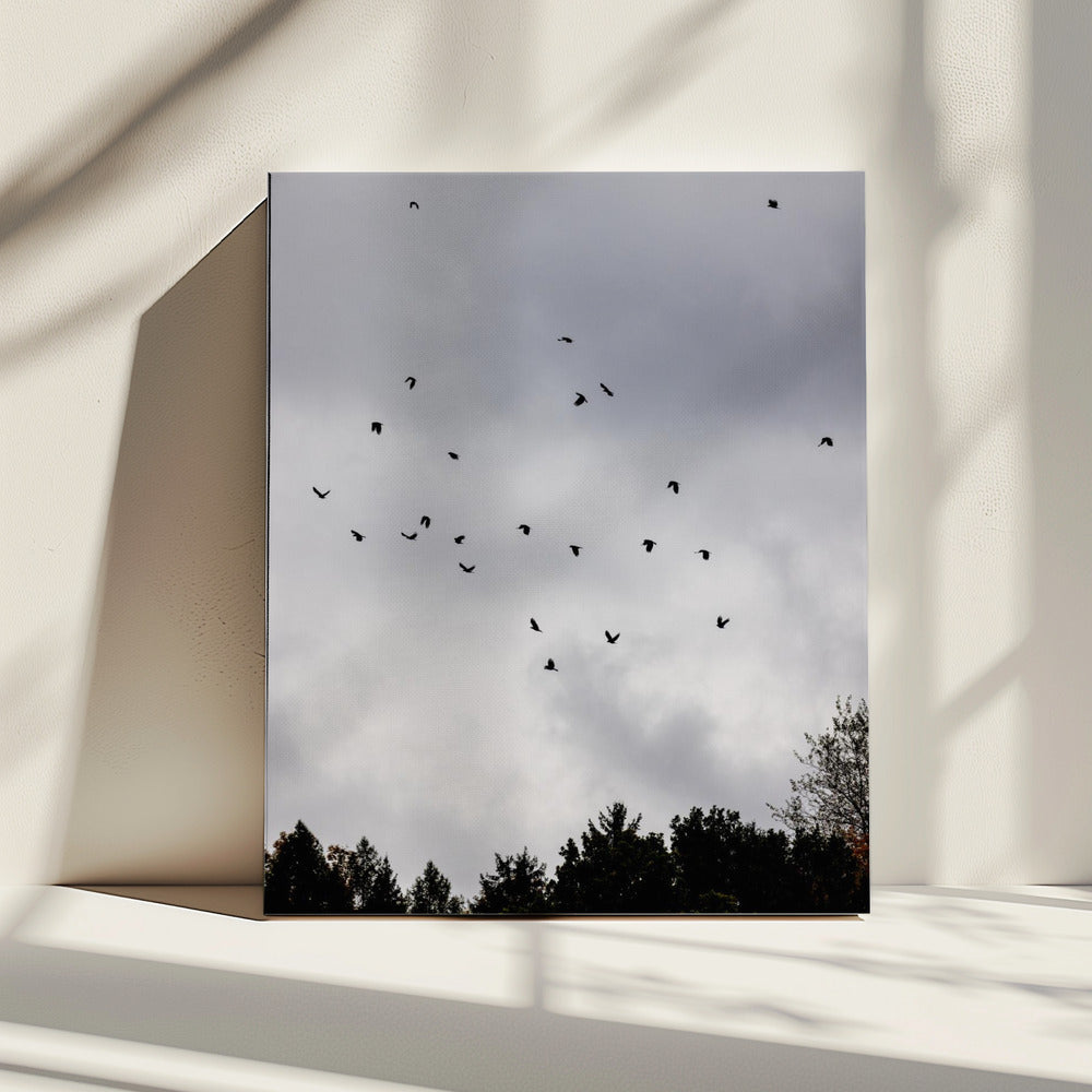 Vogels en wolken 1 | Canvas
