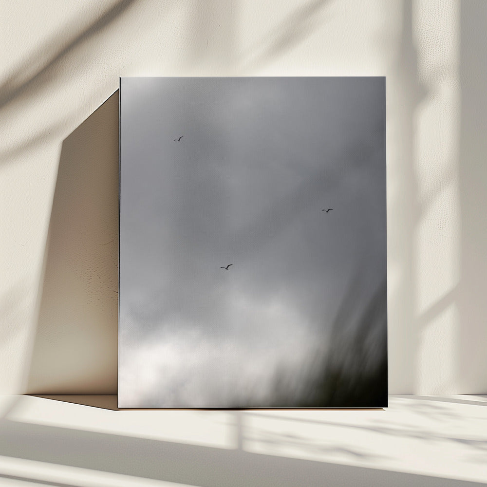 Vogels en Wolken 2 | Canvas
