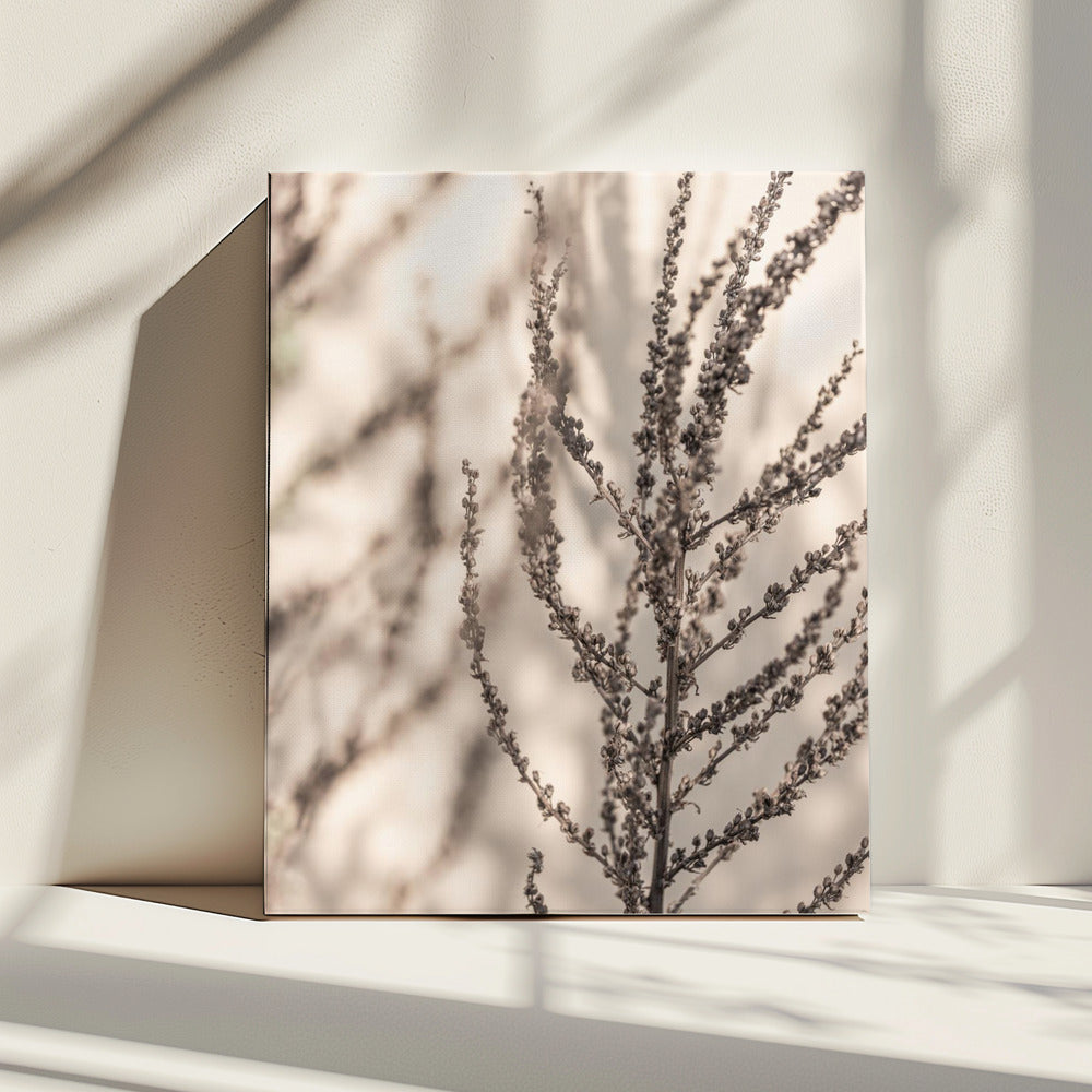 Zomerschaduwen 7X | Canvas