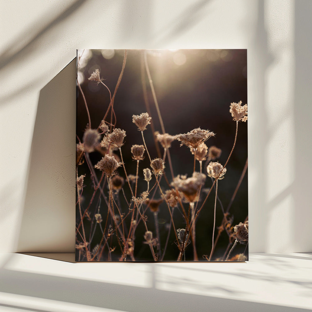 Warm Winterlicht 2 | Canvas