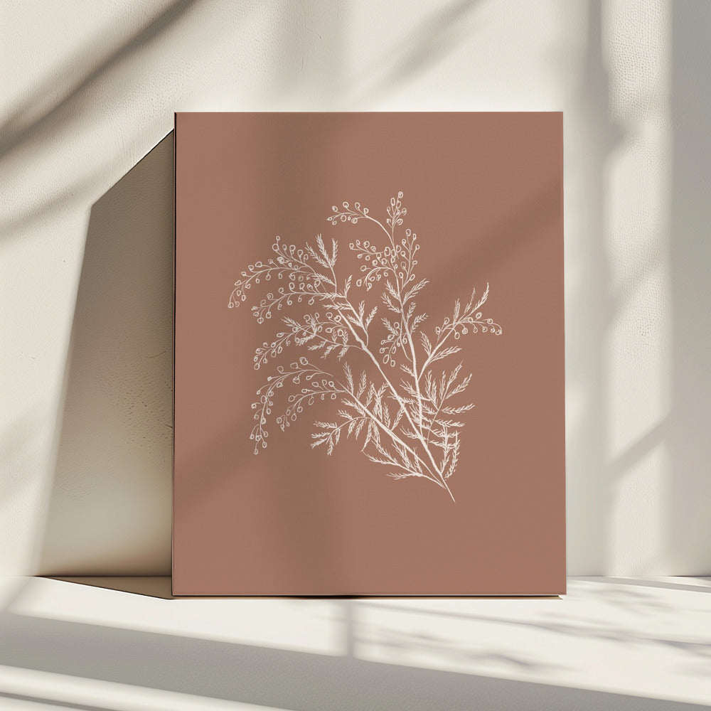 Acacia Botanische tak | Canvas