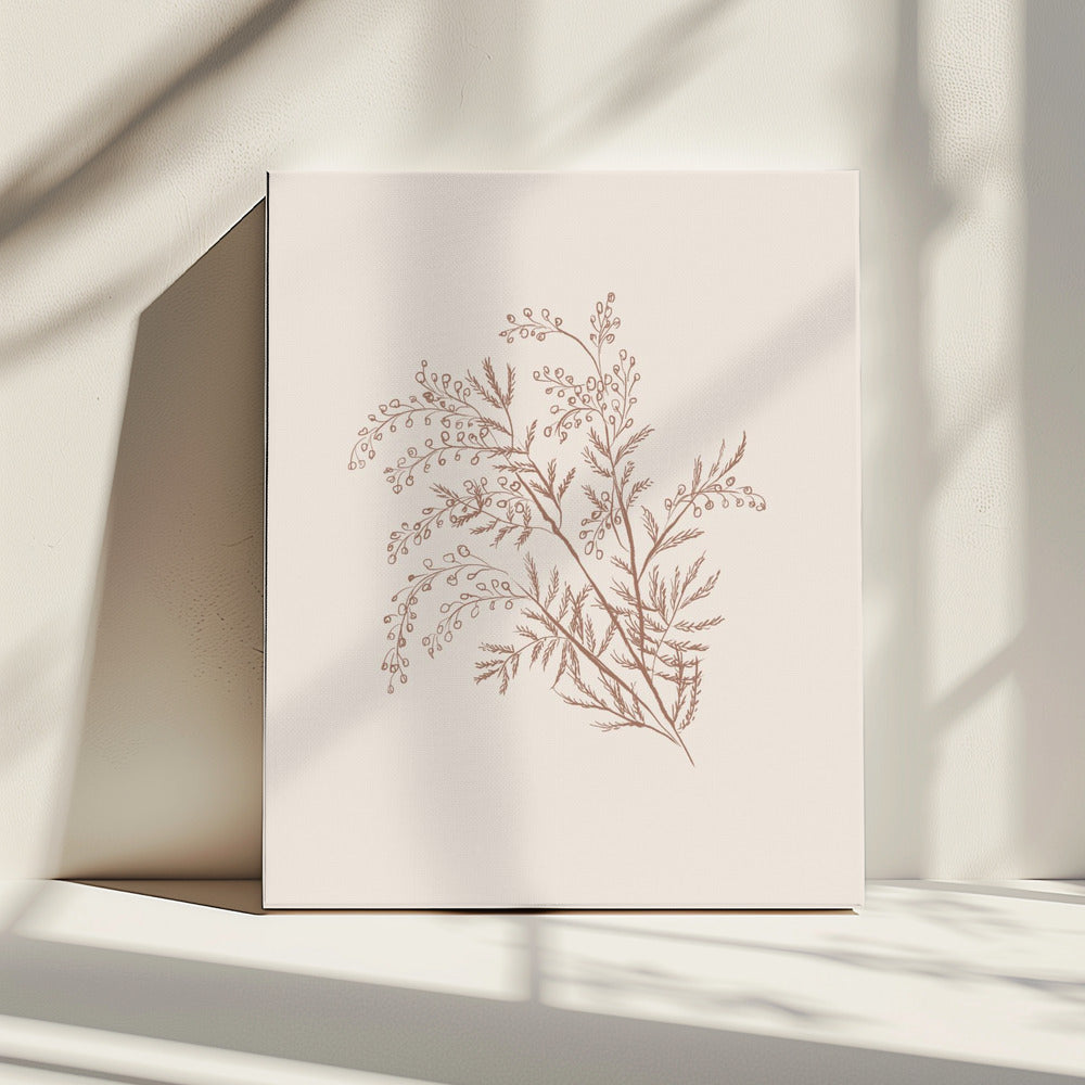Acacia Botanische tak | Canvas