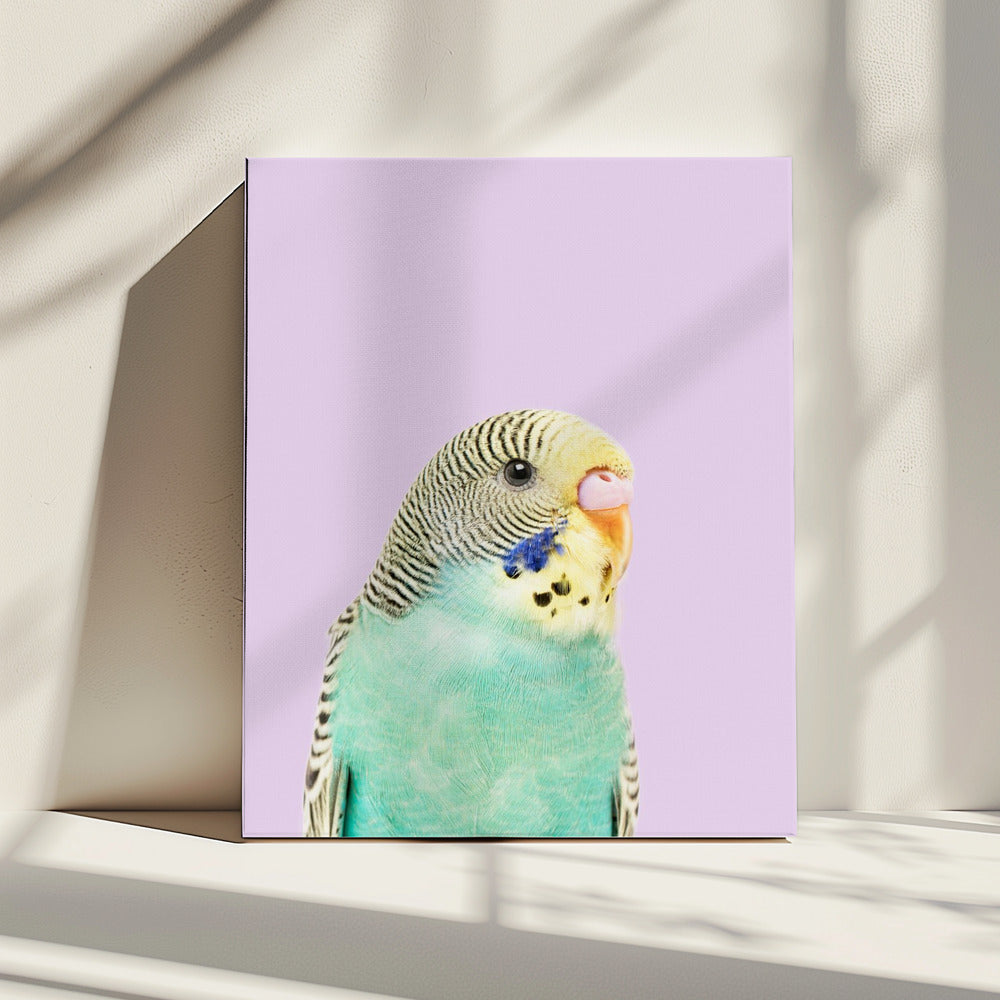 Badgie | Canvas