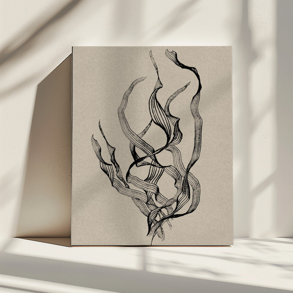 Delicaat | Canvas