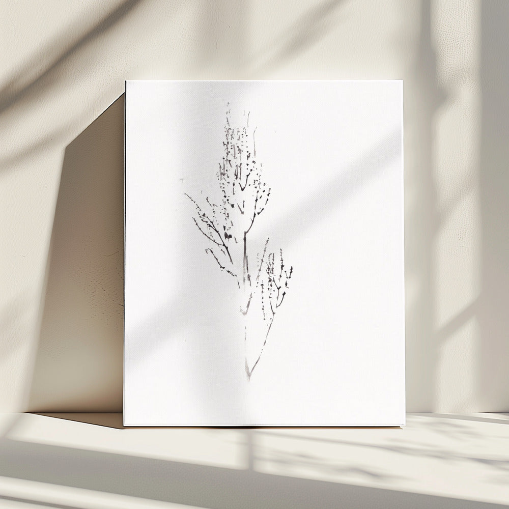 Planten | Canvas