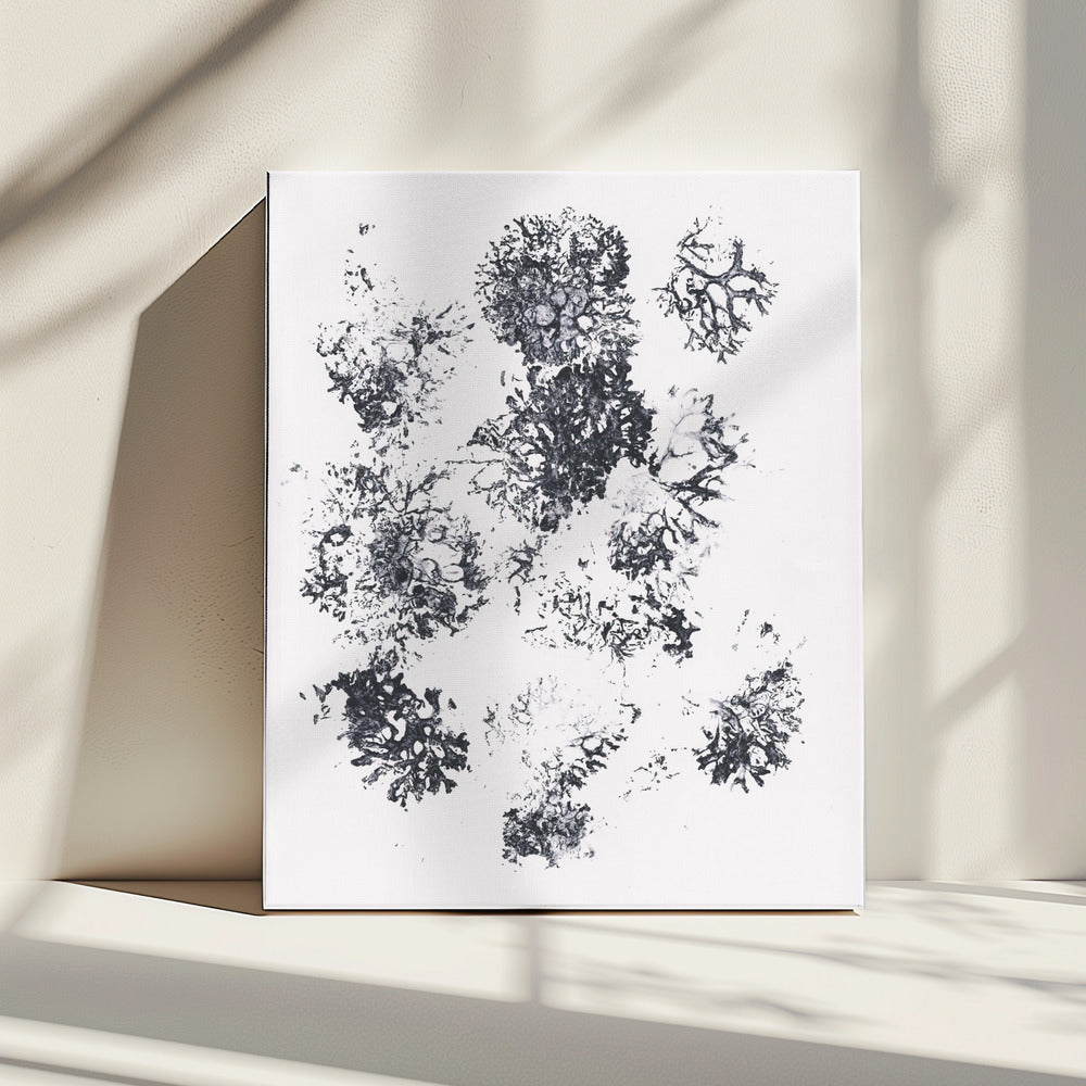 Planten II | Canvas