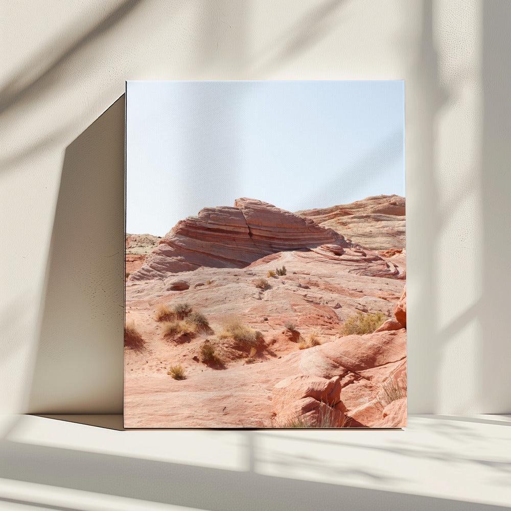 Vallei van Vuur | Canvas