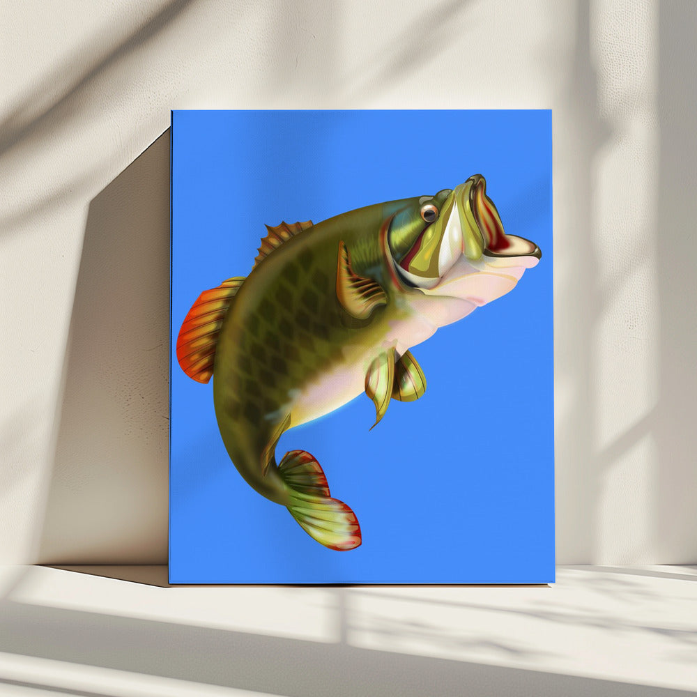 Basvis | Canvas