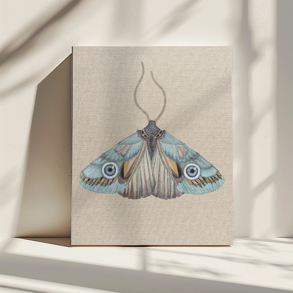 Mot | Canvas
