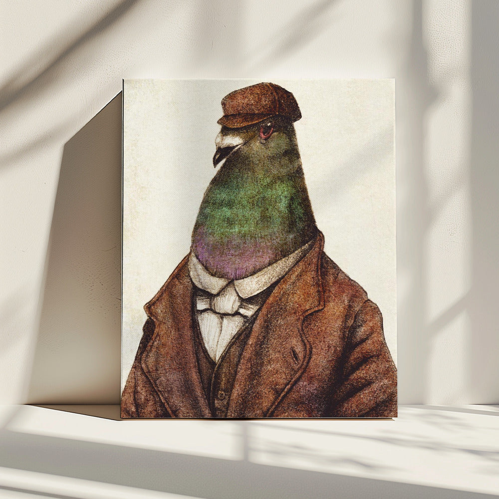 Duif gekleed in vintage kleding | Canvas