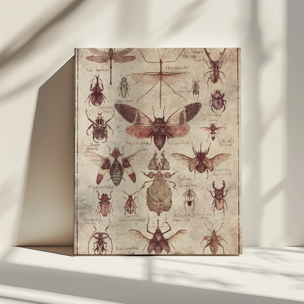 Insecten in vintagestijl | Canvas