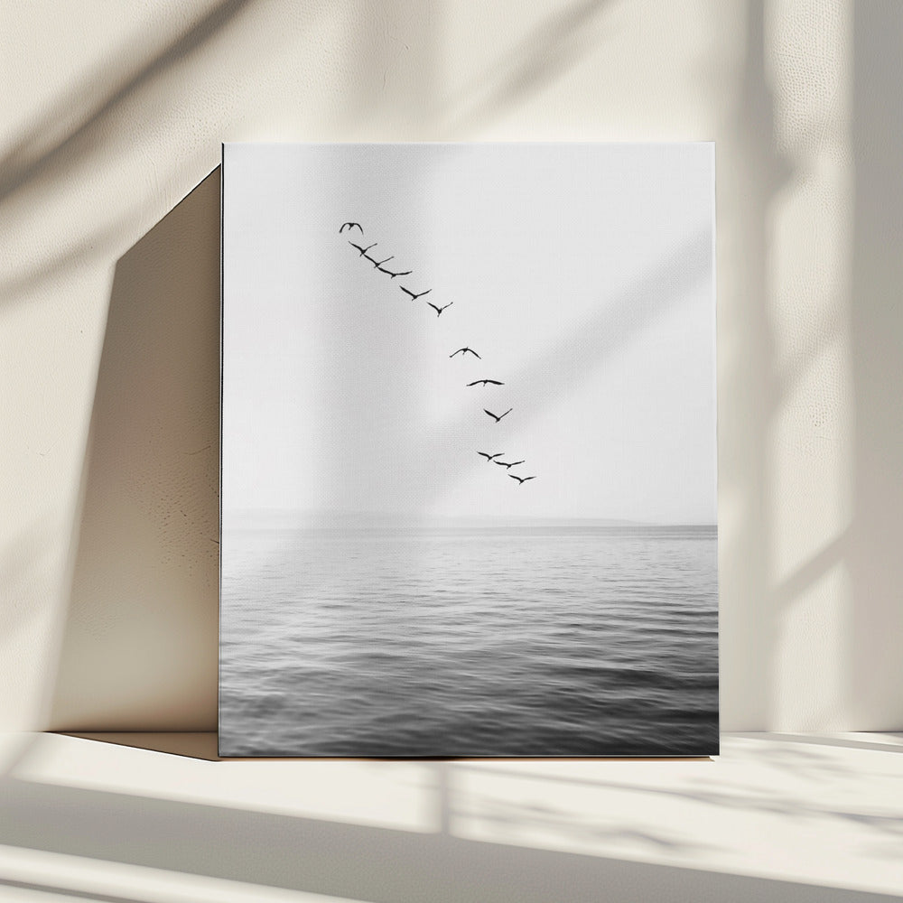 Vliegende vogels | Canvas