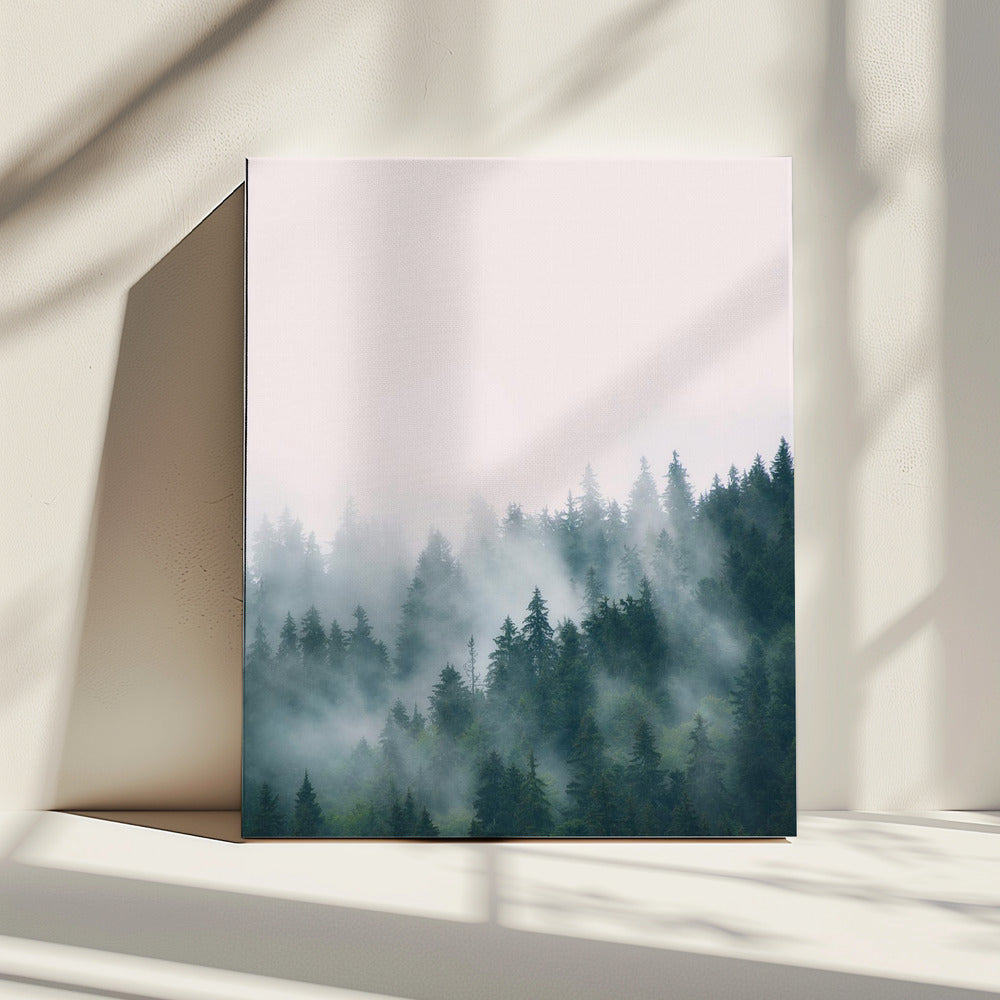 Bos | Canvas