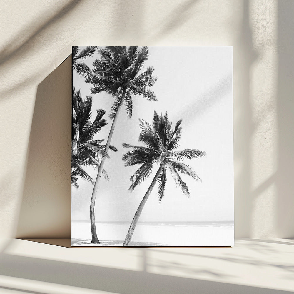 Eiland | Canvas