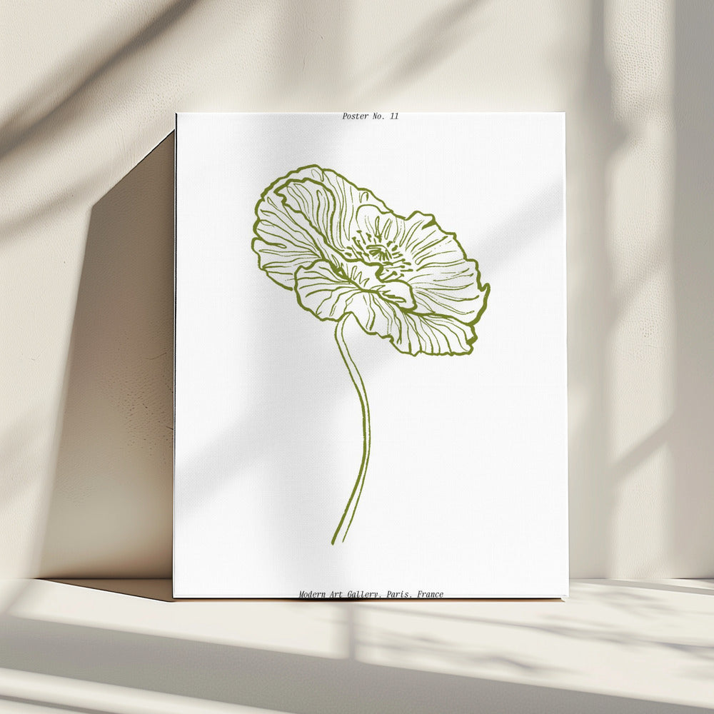 Schets van een bleke klaproos | Canvas