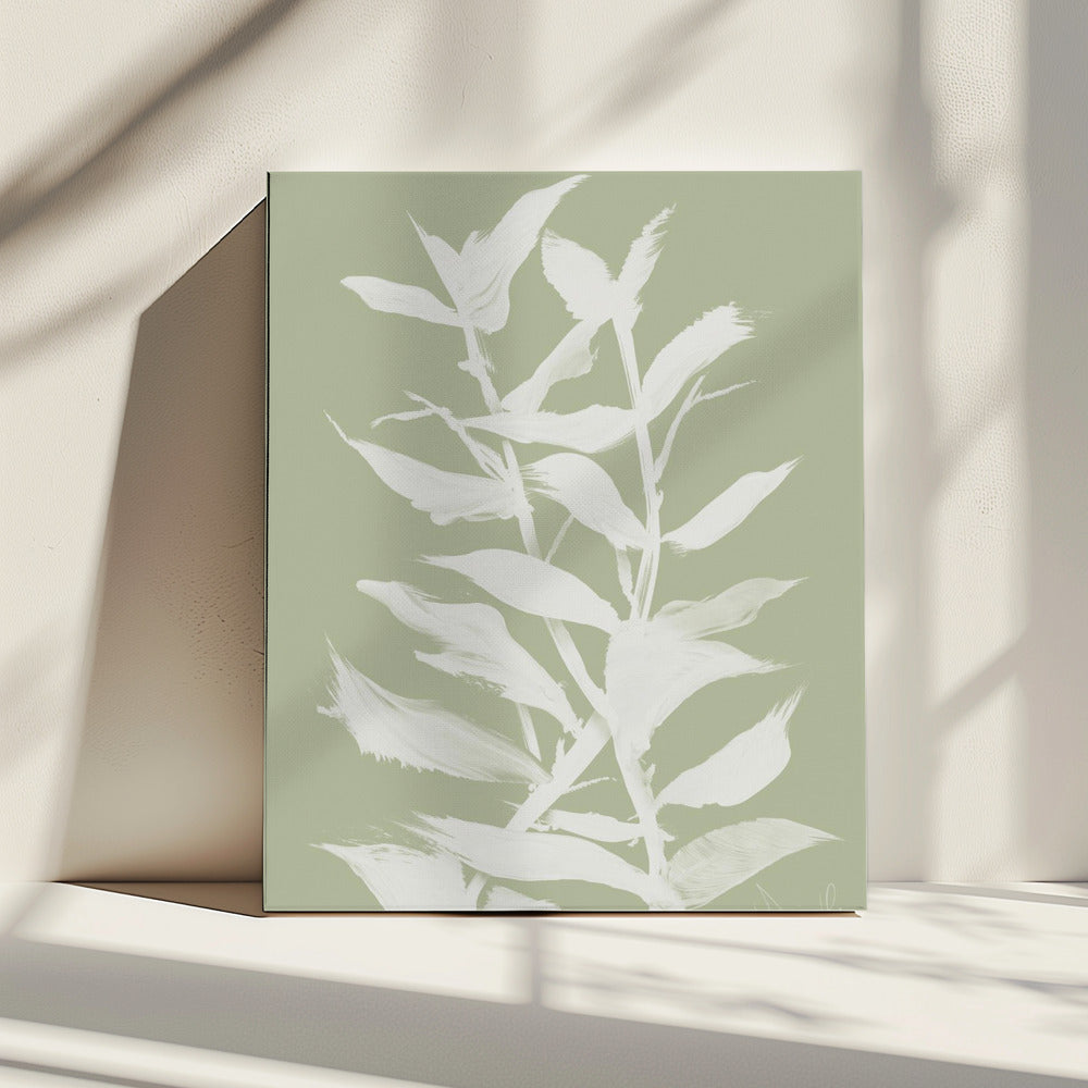 Botan | Canvas
