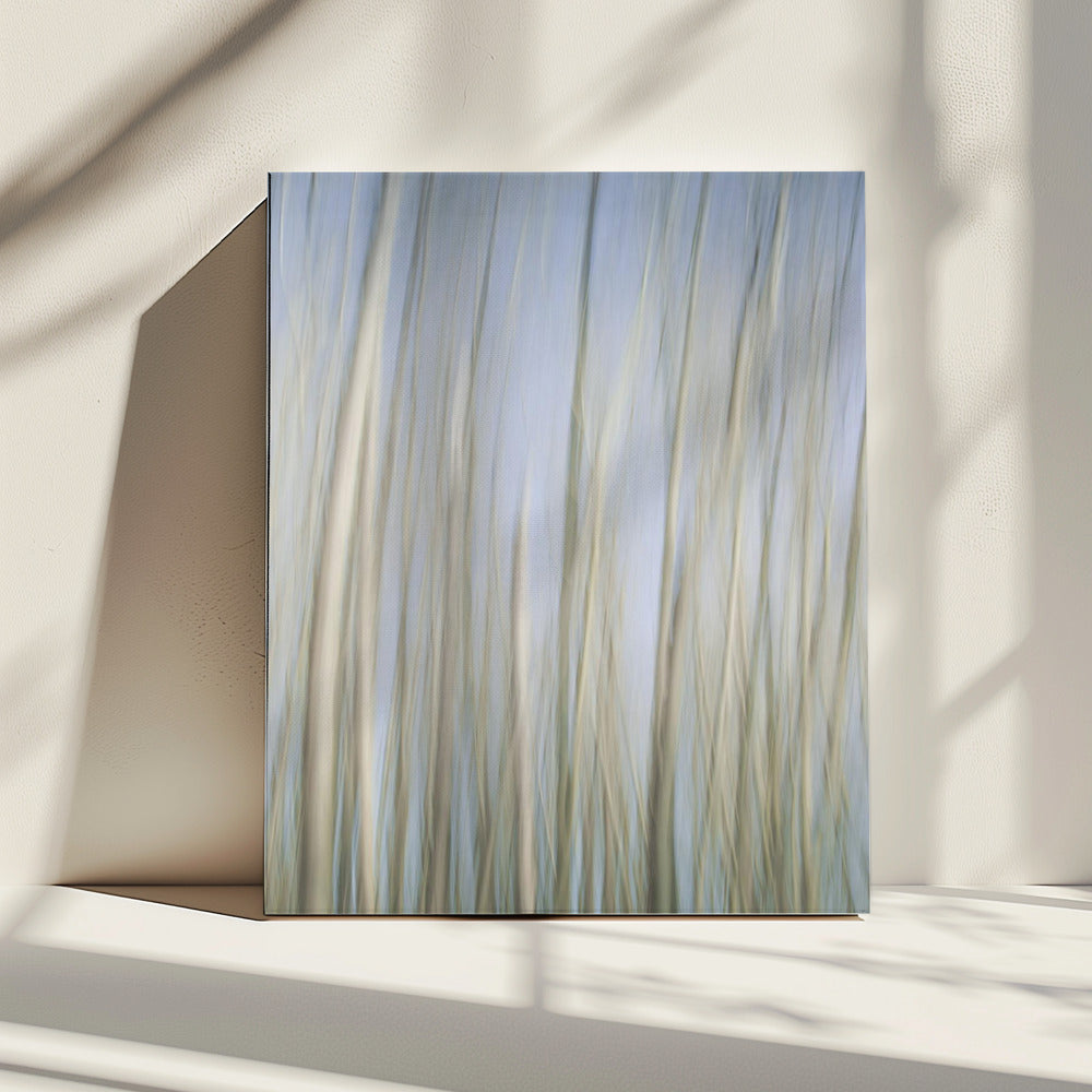 Fluisterende bomen | Canvas