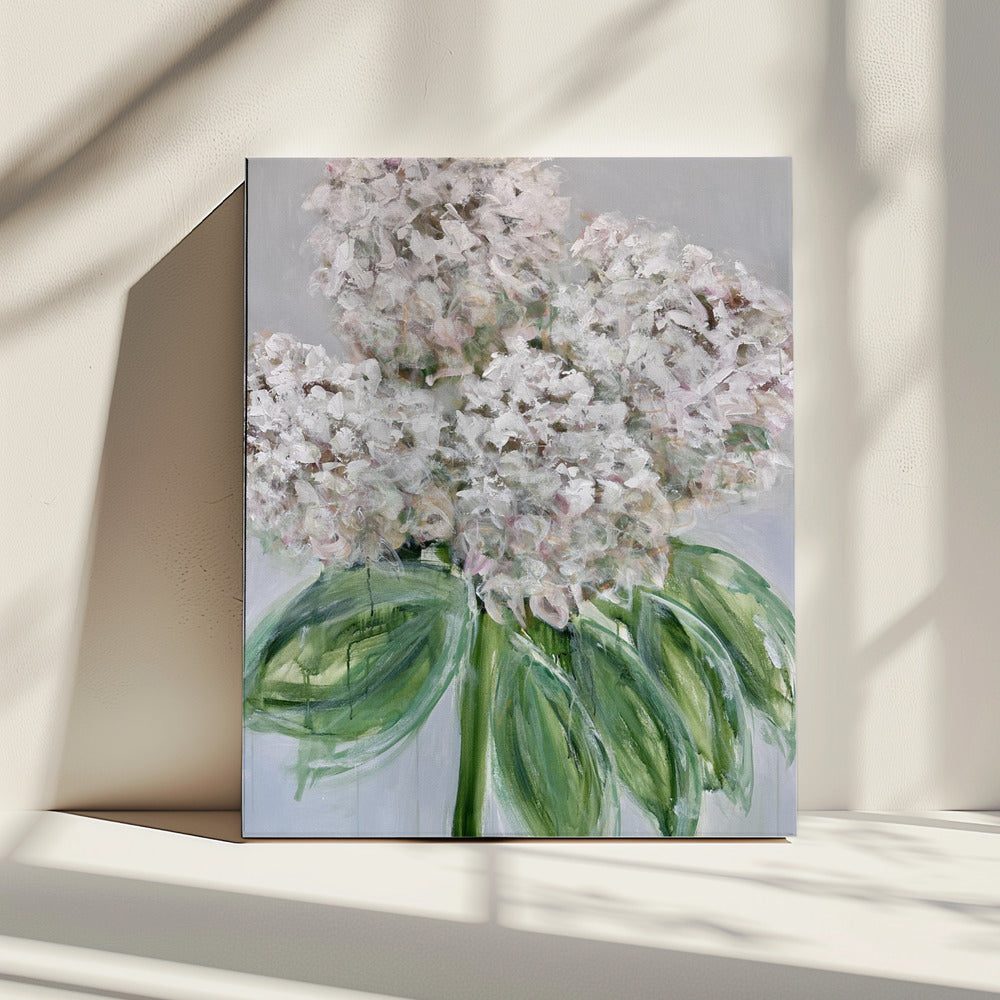 Witte hortensia bloei | Canvas