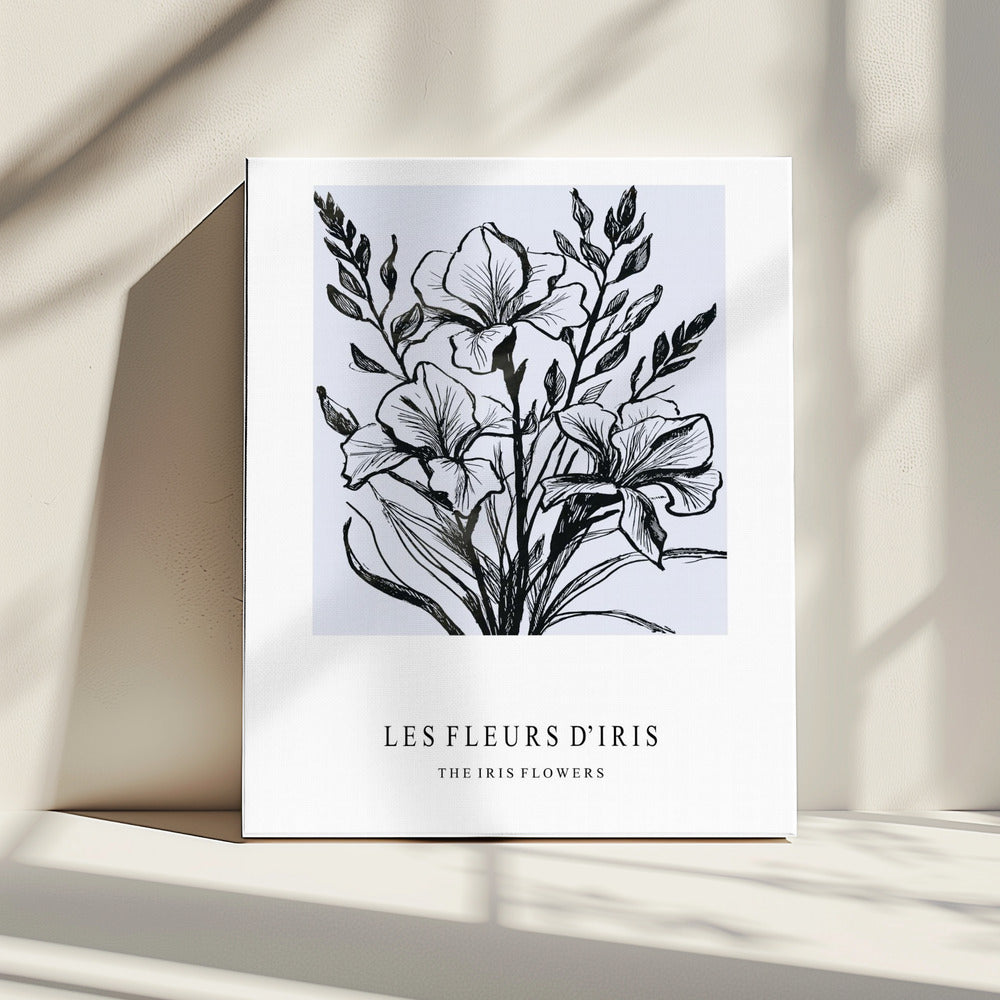 Irisbloemen in een monochrome illustratie | Canvas