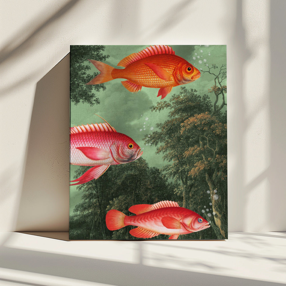Het is het seizoen van de vliegende vissen | Canvas
