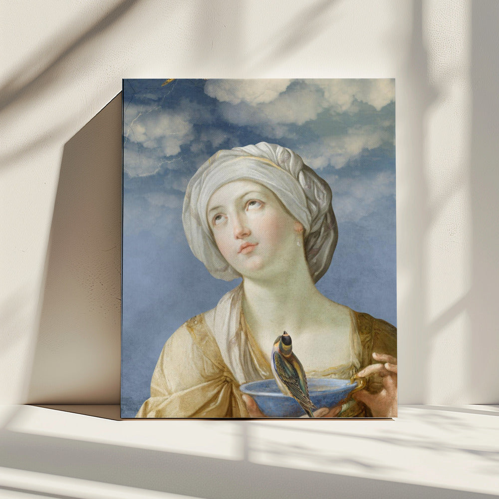 Alsem | Canvas