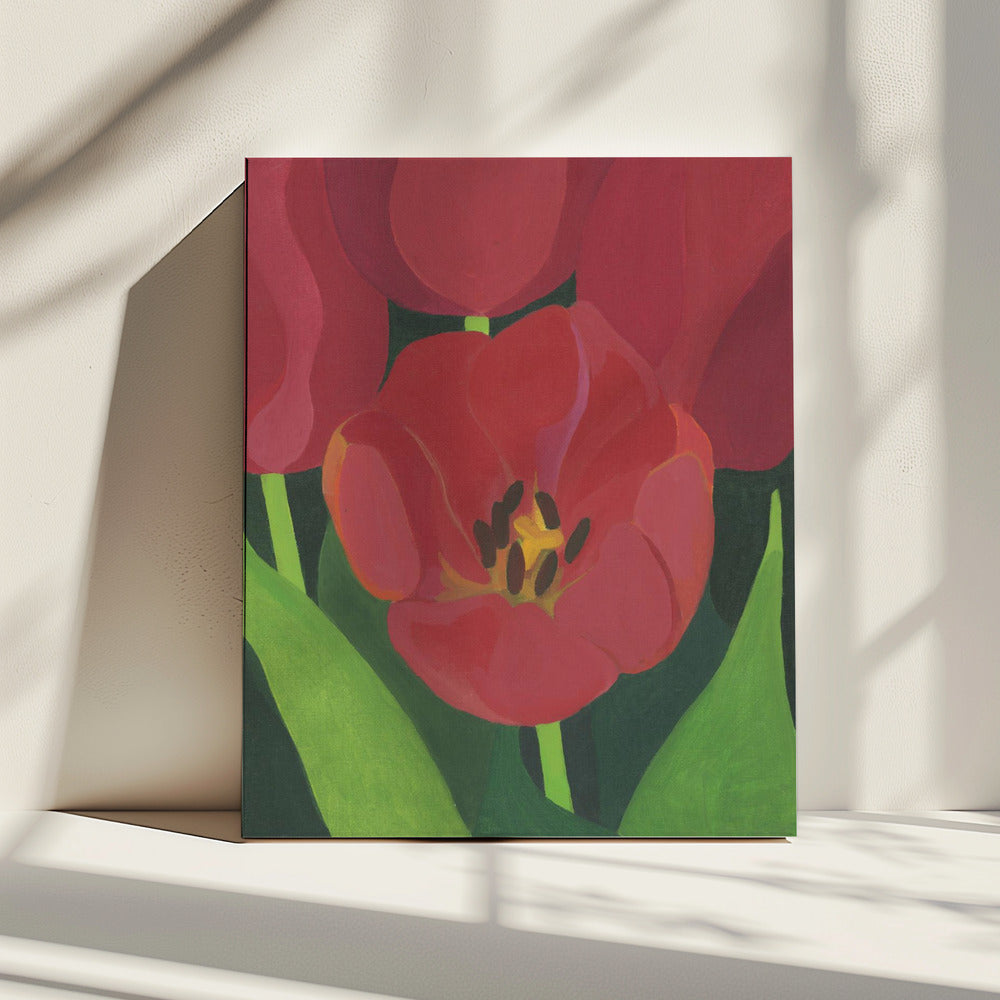Licht Rood Tulpan | Canvas