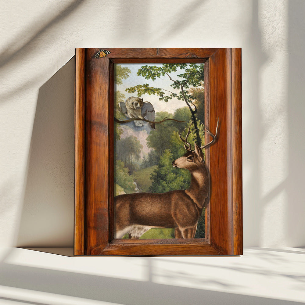 Verhalen over uilen en herten | Canvas