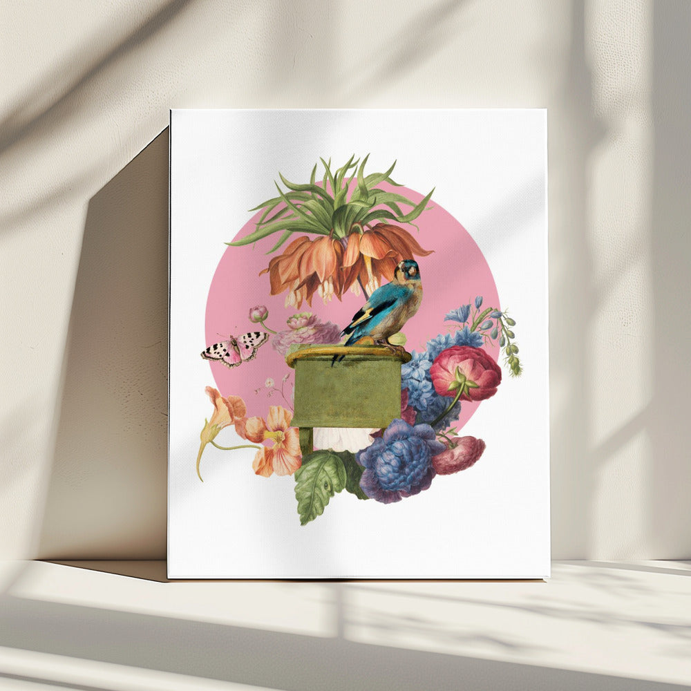 Kleurrijke vogel op een doos | Canvas