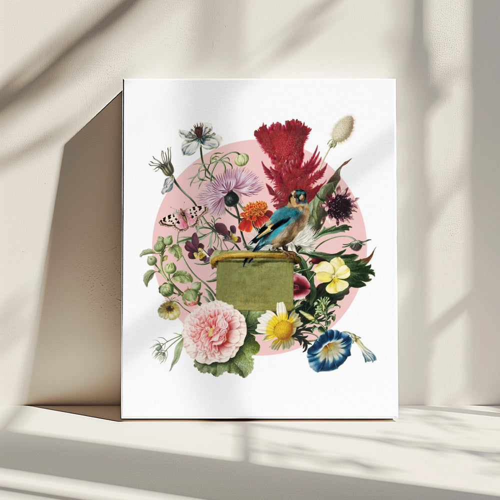 Kleurrijke vogel op een doos | Canvas