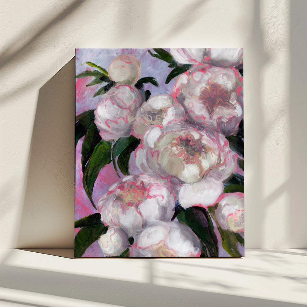 Witte pioenrozen met roze highlights | Canvas