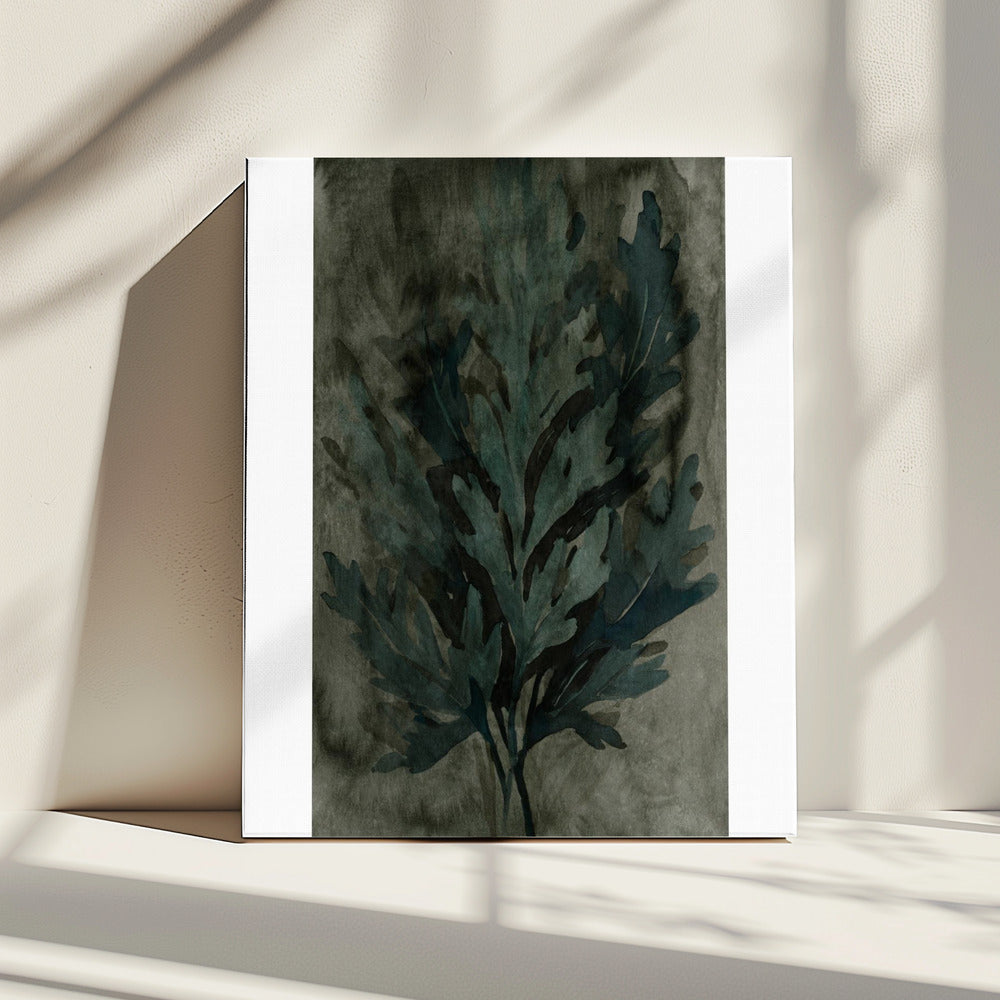 Diepwaterbloei 3 | Canvas