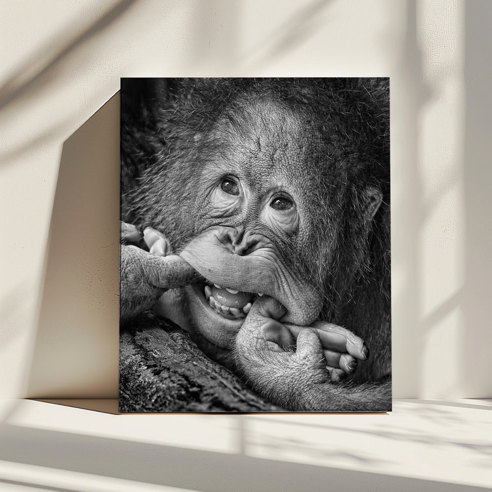 Grote glimlach.....alsjeblieft | Canvas