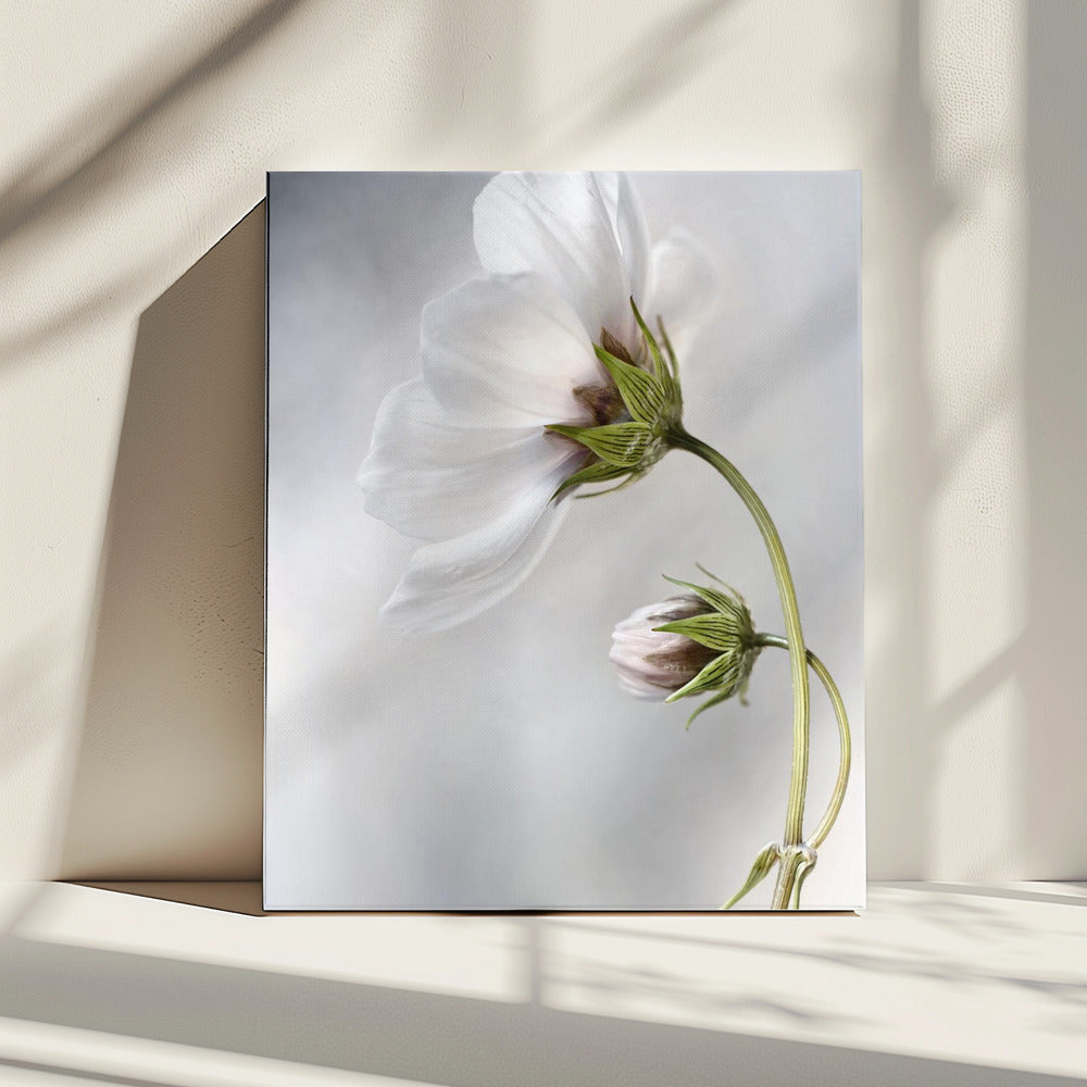 Hemelse Kosmos | Canvas