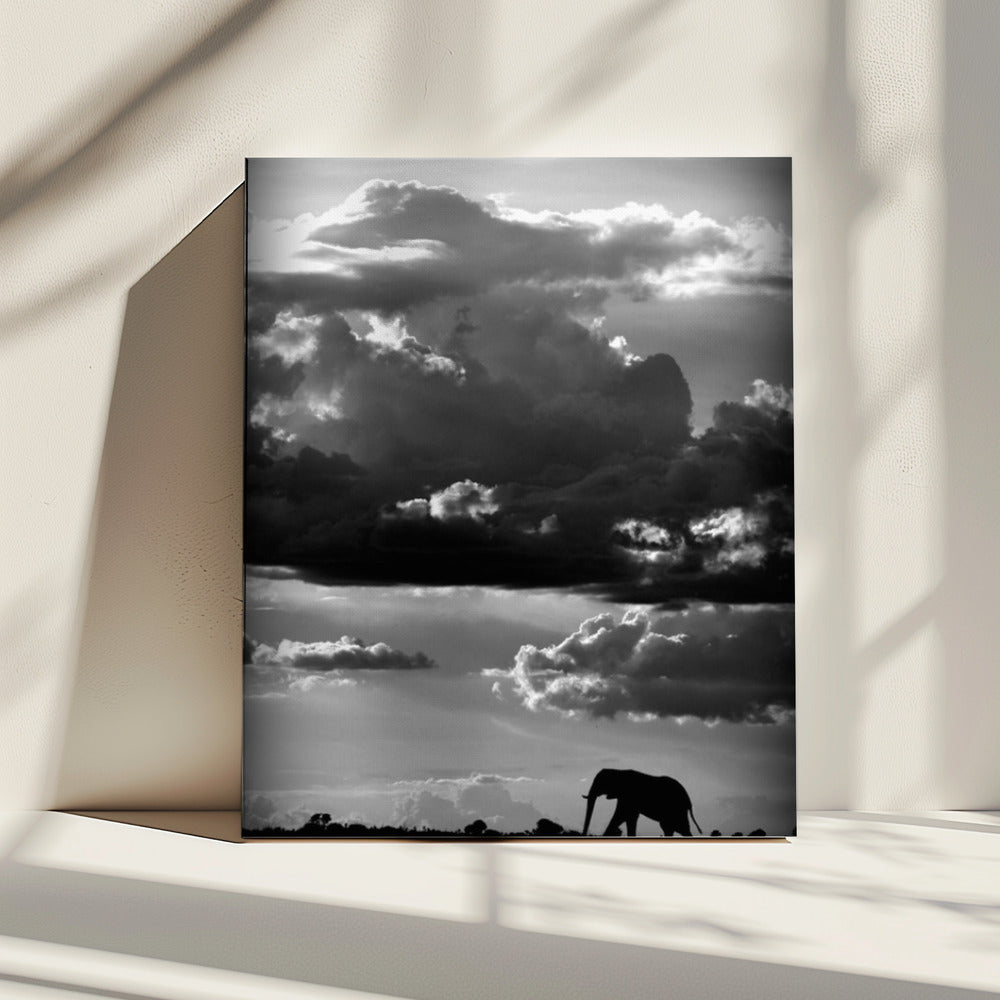 Hij loopt onder een Afrikaanse hemel | Canvas