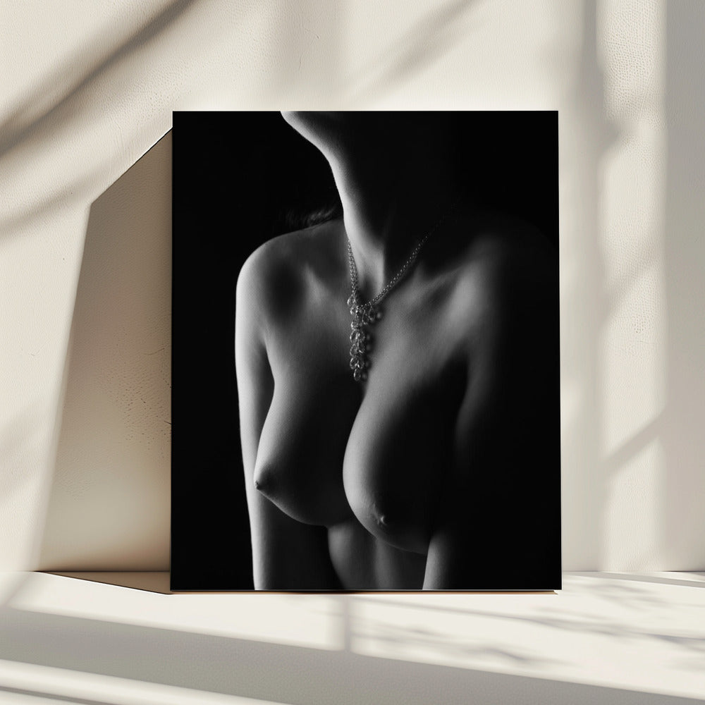 Naakte rondingen | Canvas