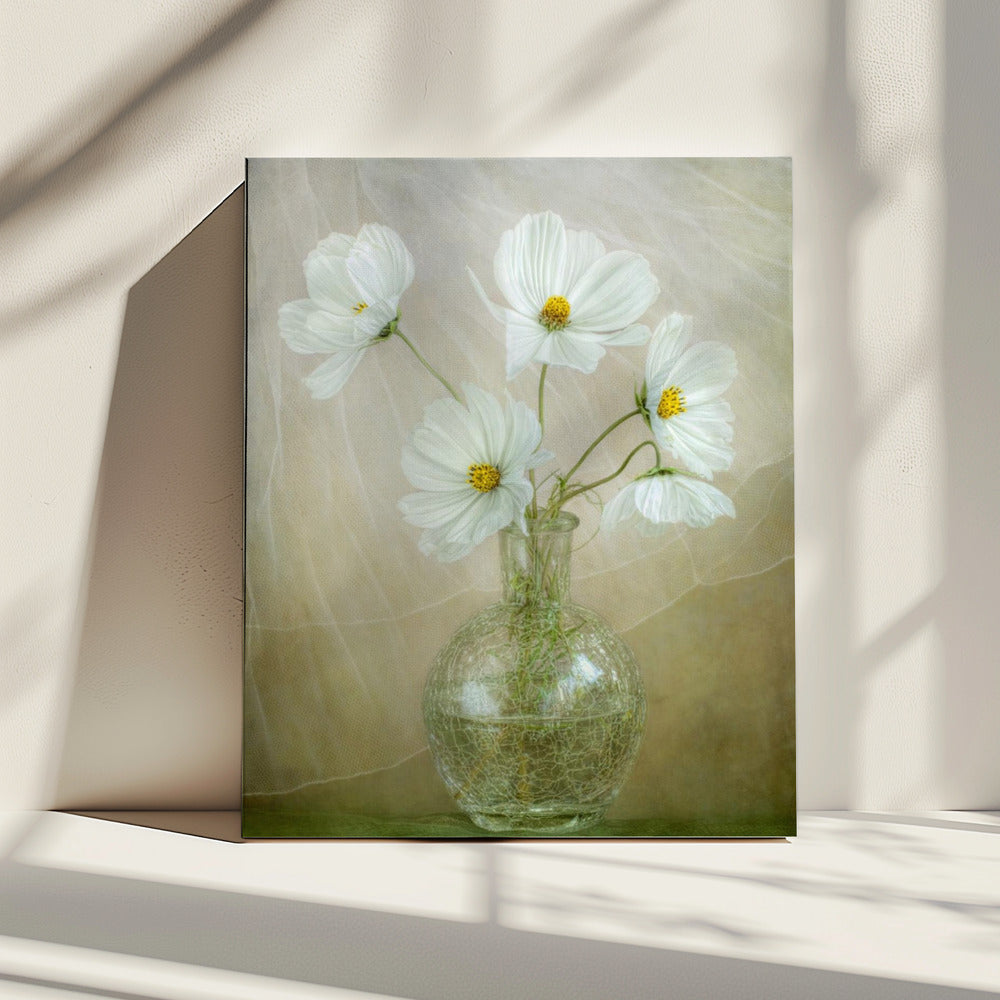Kosmosbries | Canvas