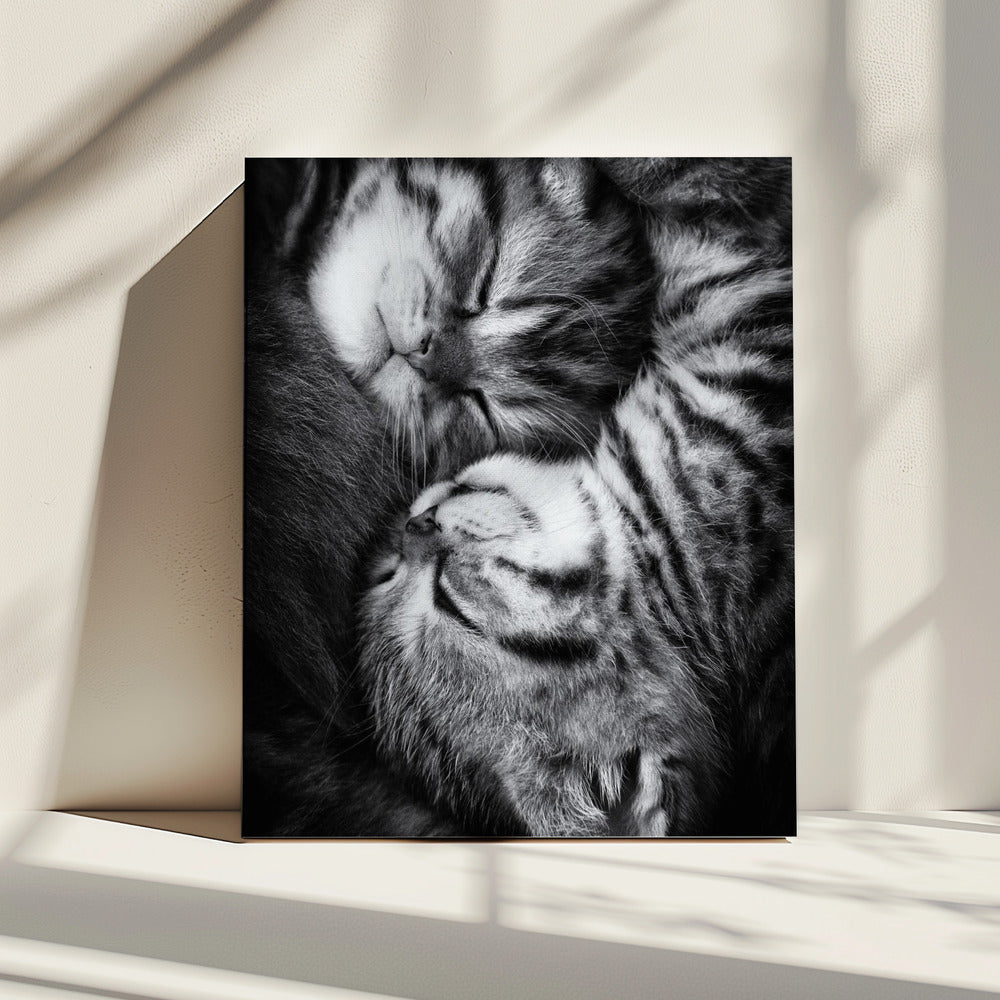 Yin en Yang | Canvas
