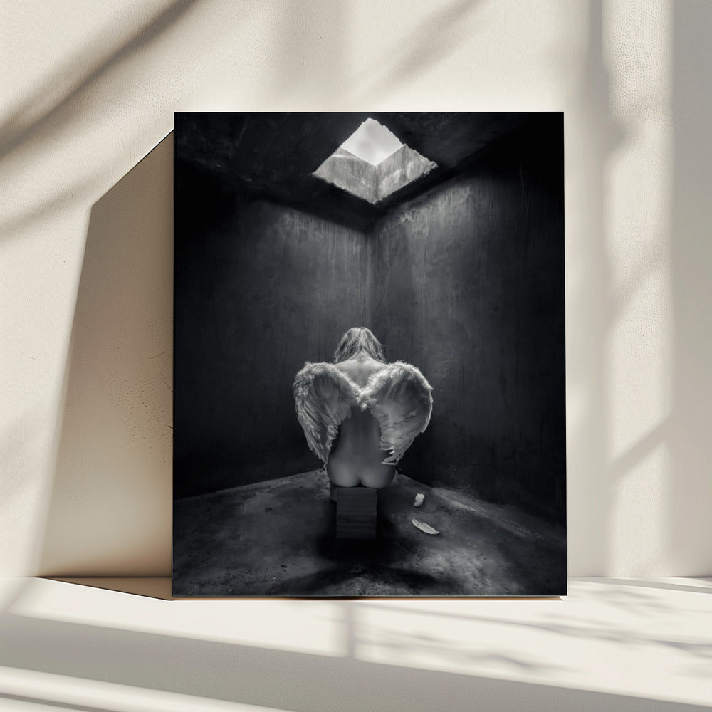 Busted | Canvas
