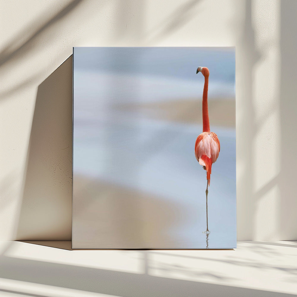 Ik | Canvas