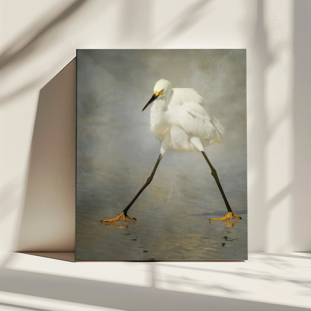 De rockster | Canvas