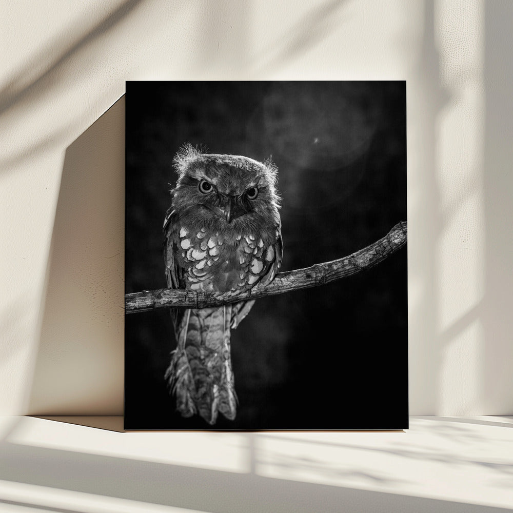 Alleen in de nacht | Canvas