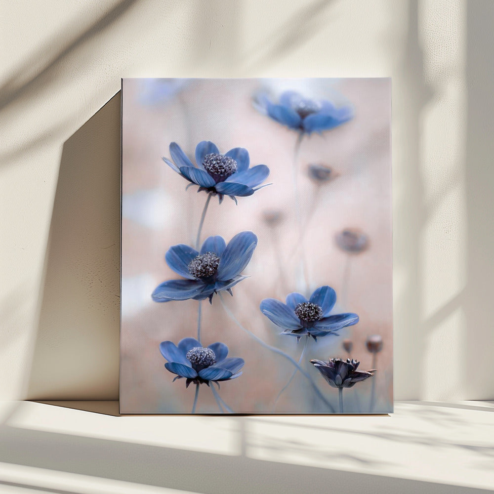 Kosmosblauw | Canvas