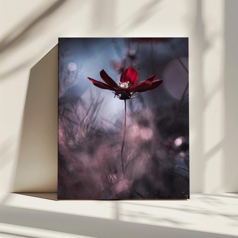 Avondjurk | Canvas