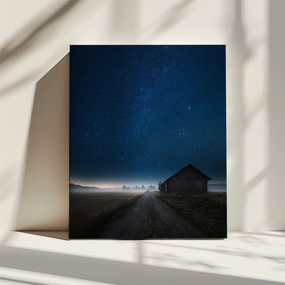 Ik loop alleen | Canvas