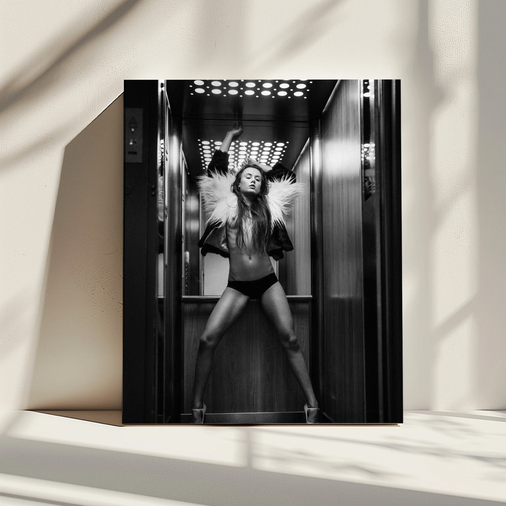 Lift | Canvas
