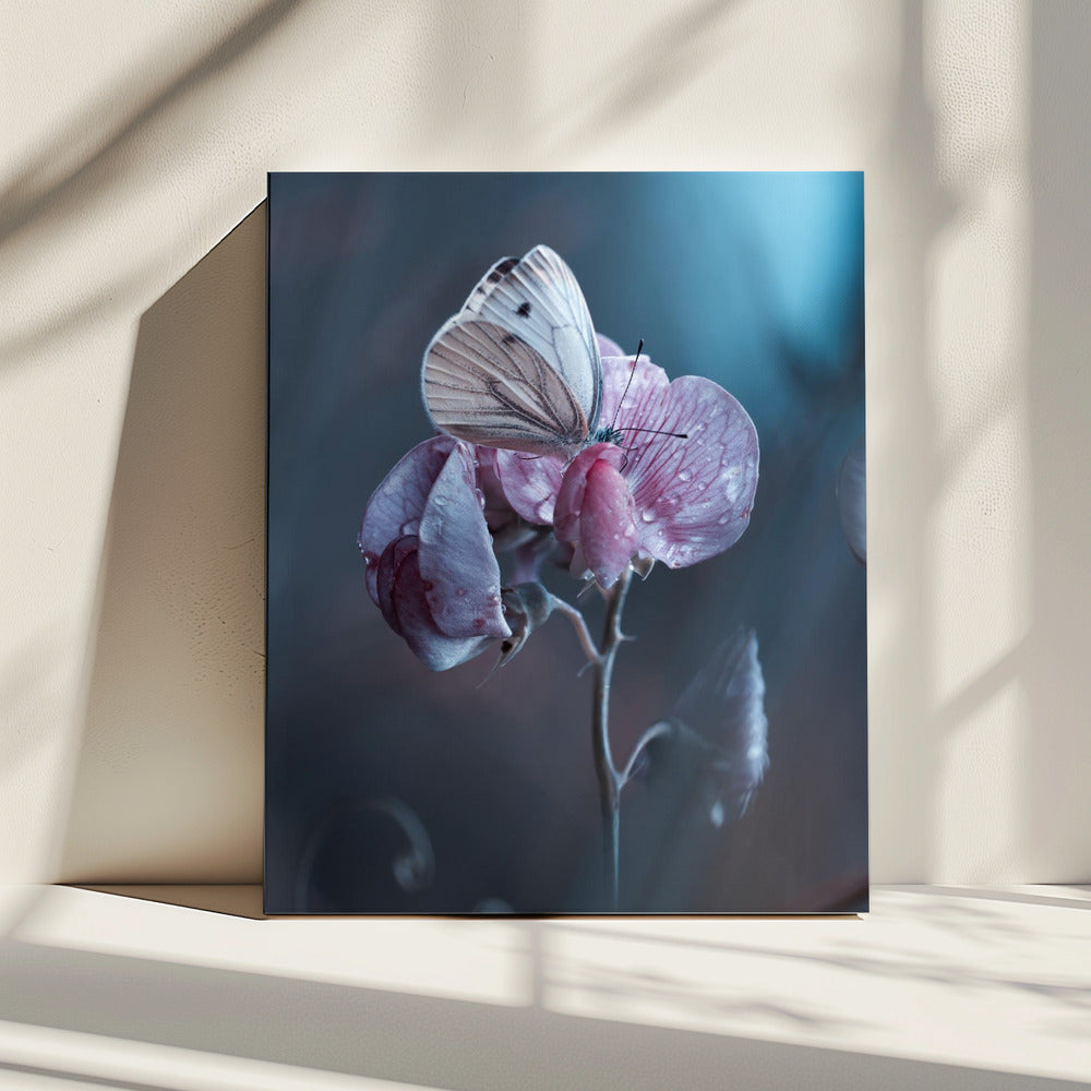 Besmette liefde | Canvas
